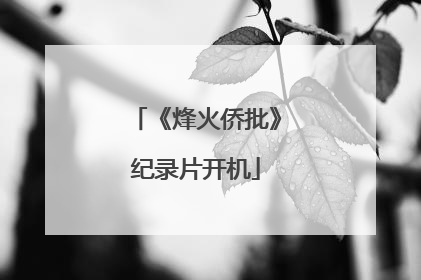 《烽火侨批》纪录片开机