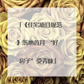 《住宅项目规范》落地首月 “好房子”受青睐
