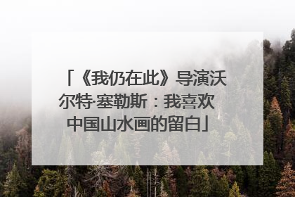 《我仍在此》导演沃尔特·塞勒斯：我喜欢中国山水画的留白