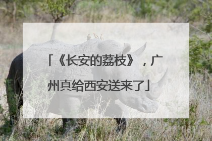 《长安的荔枝》，广州真给西安送来了