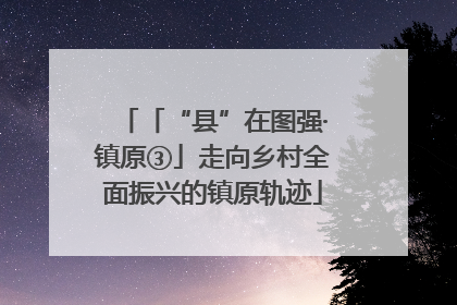 「“县”在图强·镇原③」走向乡村全面振兴的镇原轨迹