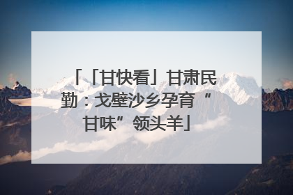 「甘快看」甘肃民勤：戈壁沙乡孕育“甘味”领头羊