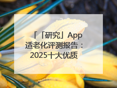 「研究」App适老化评测报告：2025十大优质应用名单发布