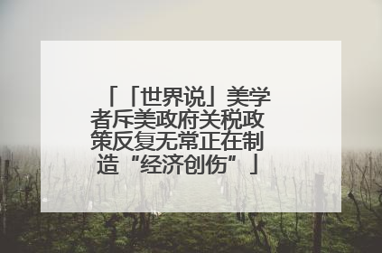 「世界说」美学者斥美政府关税政策反复无常正在制造“经济创伤”