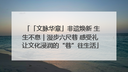 「文脉华章」非遗焕新 生生不息｜漫步六尺巷 感受礼让文化浸润的“巷”往生活