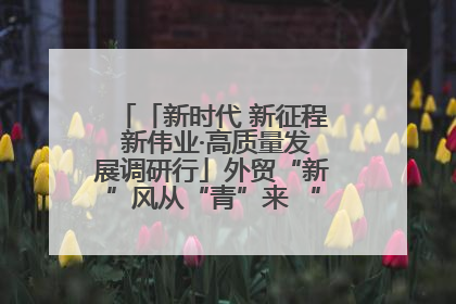 「新时代 新征程 新伟业·高质量发展调研行」外贸“新”风从“青”来 “双向奔赴”启新程