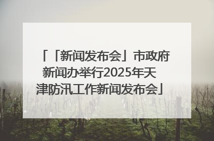 「新闻发布会」市政府新闻办举行2025年天津防汛工作新闻发布会
