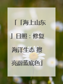 「海上山东」日照：修复海洋生态 擦亮蔚蓝底色