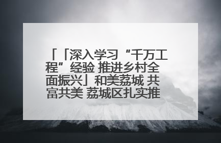 「深入学习“千万工程”经验 推进乡村全面振兴」和美荔城 共富共美 荔城区扎实推进乡村振兴工作