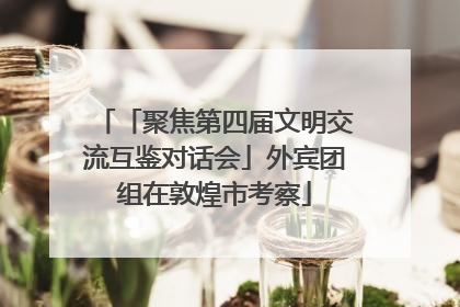 「聚焦第四届文明交流互鉴对话会」外宾团组在敦煌市考察