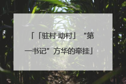 「驻村·助村」“第一书记”方华的牵挂