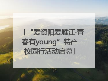 “爱资阳爱雁江·青春有young”特产校园行活动启幕