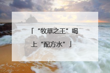 “牧草之王”喝上“配方水”