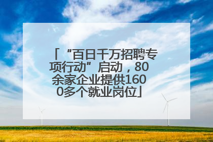 “百日千万招聘专项行动”启动，80余家企业提供1600多个就业岗位