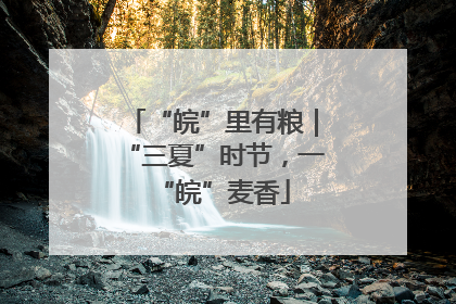 “皖”里有粮｜“三夏”时节，一“皖”麦香