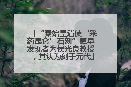 “秦始皇遣使‘采药昆仑’石刻”更早发现者为侯光良教授，其认为刻于元代