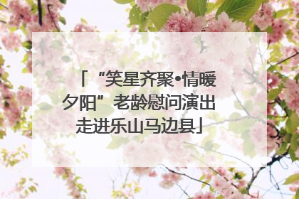 “笑星齐聚•情暖夕阳”老龄慰问演出走进乐山马边县