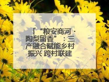“粮安商河・陶梨留香”：三产融合赋能乡村振兴 跨村联建绘就共富画卷