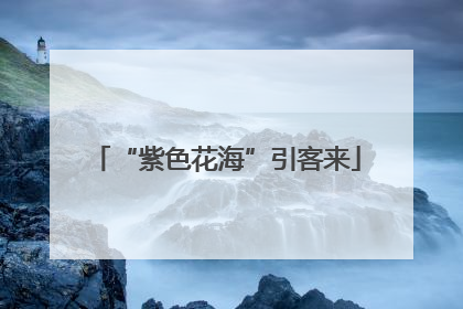 “紫色花海”引客来