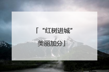 “红树进城” 美丽加分