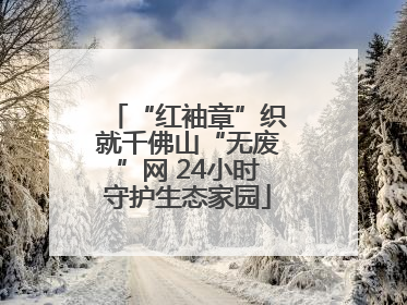“红袖章”织就千佛山“无废”网 24小时守护生态家园