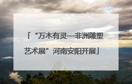 “万木有灵—非洲雕塑艺术展”河南安阳开展