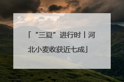“三夏”进行时丨河北小麦收获近七成