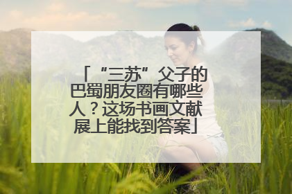 “三苏”父子的巴蜀朋友圈有哪些人？这场书画文献展上能找到答案
