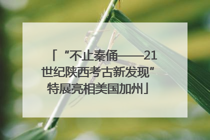 “不止秦俑——21世纪陕西考古新发现”特展亮相美国加州