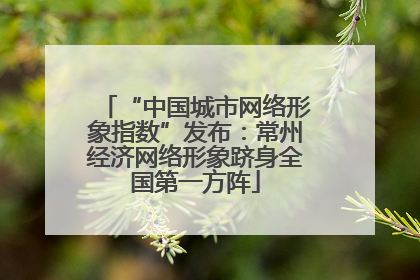 “中国城市网络形象指数”发布：常州经济网络形象跻身全国第一方阵