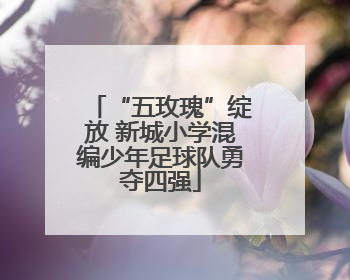 “五玫瑰”绽放 新城小学混编少年足球队勇夺四强