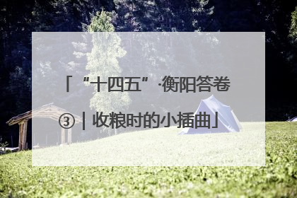 “十四五”·衡阳答卷③｜收粮时的小插曲