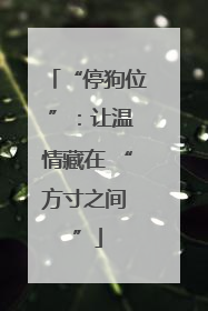 “停狗位 ”：让温情藏在 “方寸之间 ”