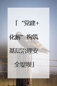 “党建+化解”构筑基层治理安全堤坝