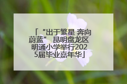 “出于繁星 奔向蔚蓝” 昆明盘龙区明通小学举行2025届毕业嘉年华