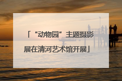 “动物园”主题摄影展在清河艺术馆开展