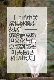 “哈中关系持续稳步发展”——访哈萨克斯坦文化与信息部副部长叶夫根尼·科切托夫