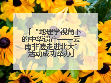 “地理学视角下的中华遗产——云南非遗走进北大”活动成功举办