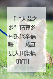 “大蒜之乡”精算乡村振兴幸福账——成武县大田集镇见闻
