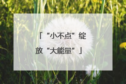 “小不点”绽放“大能量”