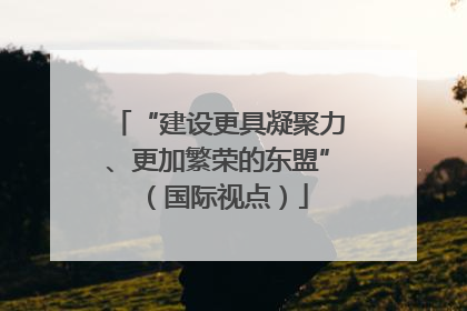 “建设更具凝聚力、更加繁荣的东盟”（国际视点）