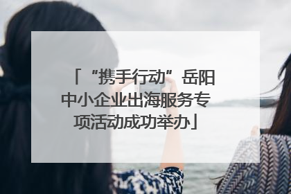 “携手行动”岳阳中小企业出海服务专项活动成功举办