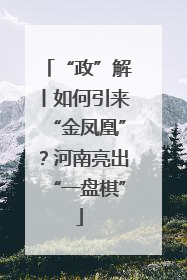 “政”解丨如何引来“金凤凰”？河南亮出“一盘棋”