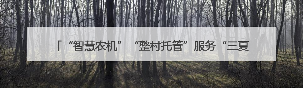 “智慧农机”“整村托管”服务“三夏”生产 向科技要产能筑牢丰产基础