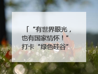 “有世界眼光，也有国家情怀！”打卡“绿色硅谷”，博主新解乐山｜网络名人四川行