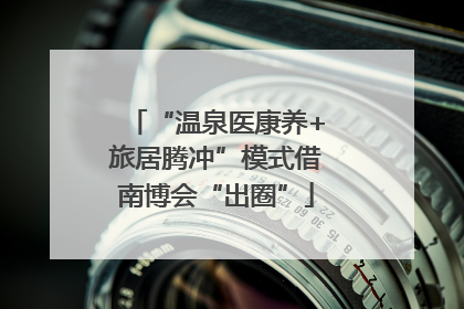 “温泉医康养+旅居腾冲”模式借南博会“出圈”