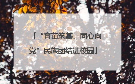 “育苗筑基、同心向党”民族团结进校园