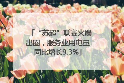 “苏超”联赛火爆出圈，服务业用电量同比增长9.3%