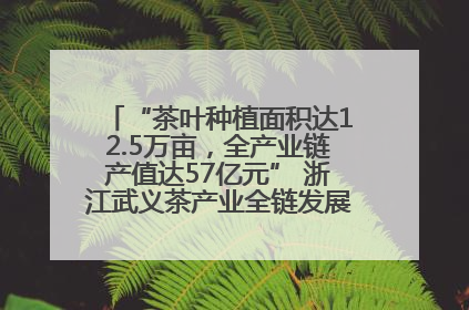 “茶叶种植面积达12.5万亩，全产业链产值达57亿元” 浙江武义茶产业全链发展“加速度”