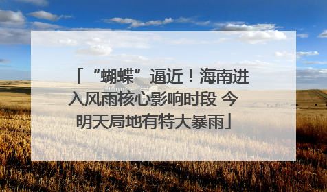 “蝴蝶”逼近！海南进入风雨核心影响时段 今明天局地有特大暴雨